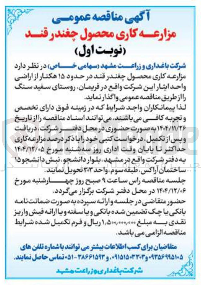 تصویر کوچک آگهی مزارعه کاری محصول چغندر قند در حدود ۱۵ هکتار 