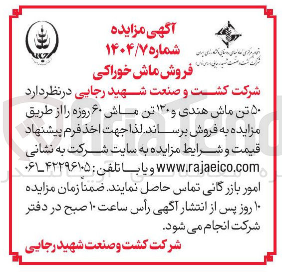 تصویر کوچک آگهی ۵۰ تن ماش هندی و ۱۲۰ تن ماش ۶۰ روزه