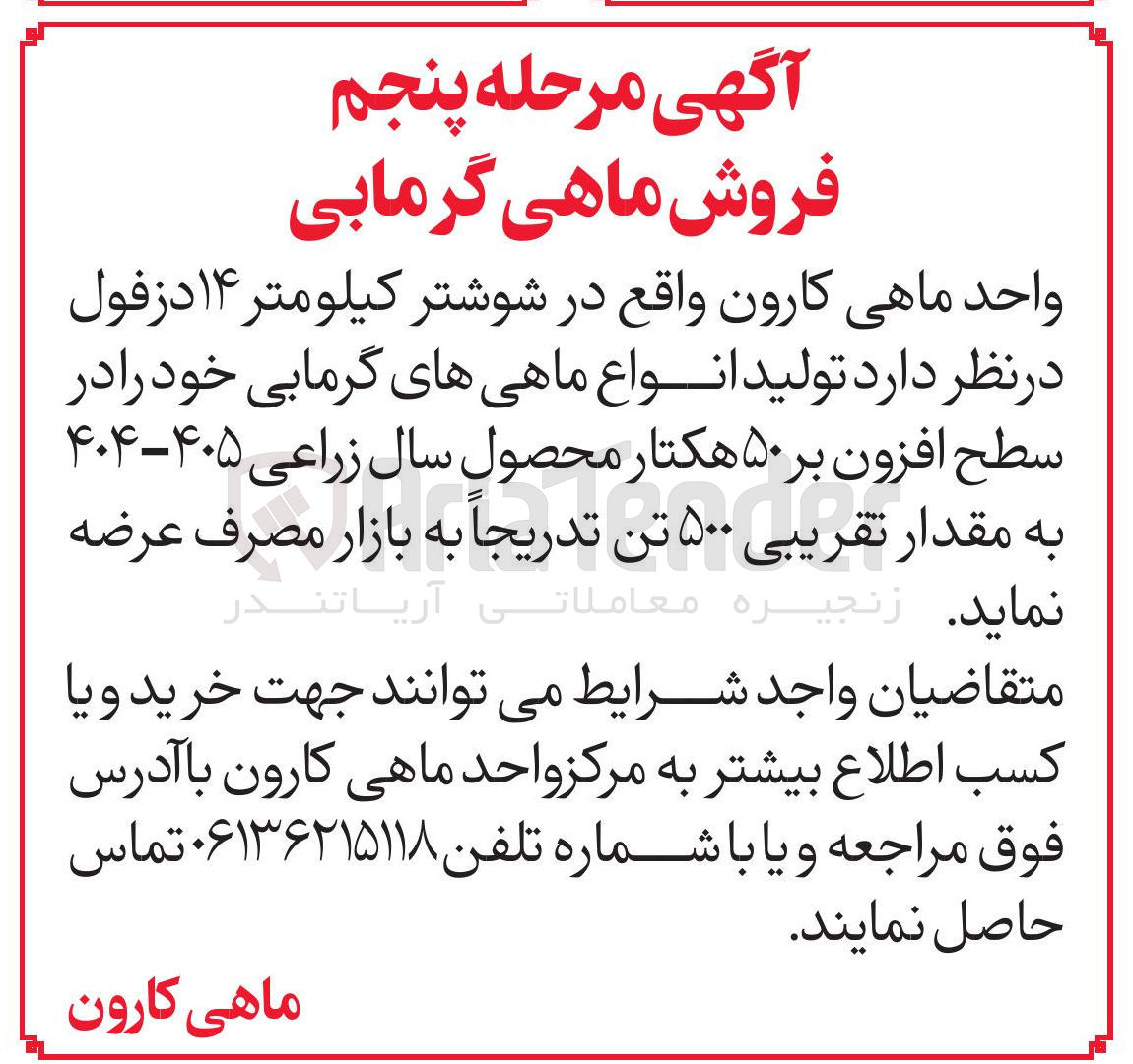 تصویر کوچک آگهی فروش ماهی گرمابی 