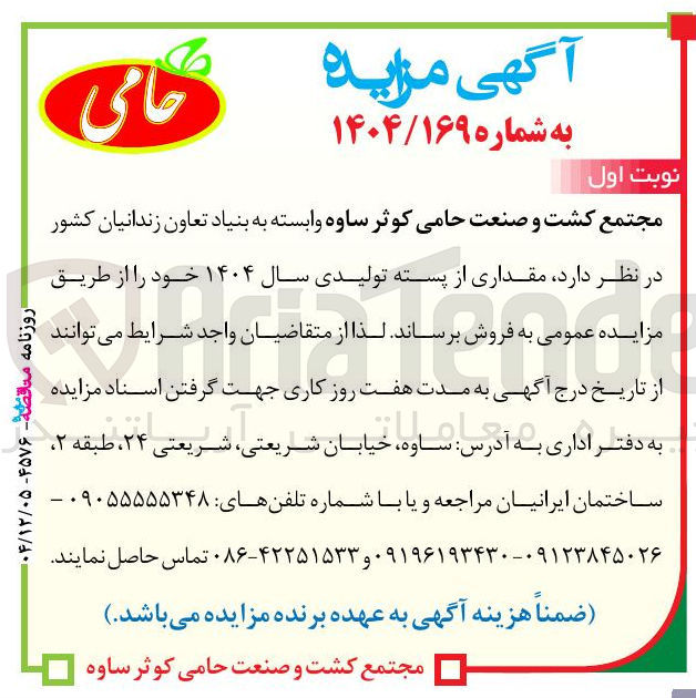 تصویر کوچک آگهی فروش مقداری از پسته تولیدی 