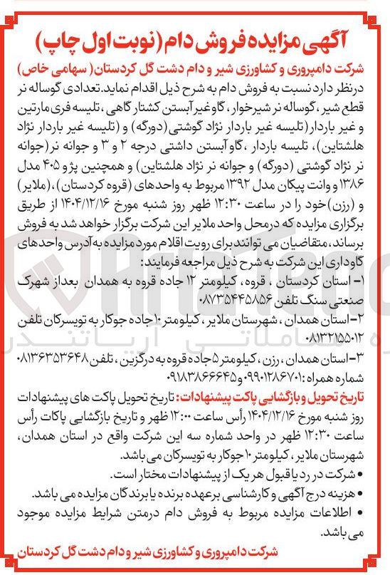 تصویر کوچک آگهی تعدادی گوساله نر قطع شیر ، گوساله نر شیر خوار گاو غیر آبستن کشتارگاهی ، تلیسه فری مارتین و غیر باردار تلیسه غیر باردار نژاد گوشتی ( دورگه ) و تلیسه غیر باردار نژاد هلشتاین تلیسه باردار ، گاو آبستن داشتی درجه ۲ و ۳ و جوانه نر جوانه نر نژاد گوشتی ( دورگه ) و جوانه نر نژاد هلشتاین و همچنین پژو ۴۰۵ مدل ۱۳۸۶ و وانت پیکان مدل ۱۳۹۲