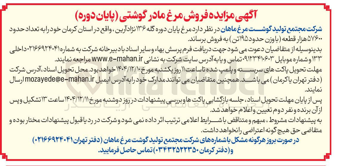 تصویر کوچک آگهی فروش مرغ مادر گوشتی