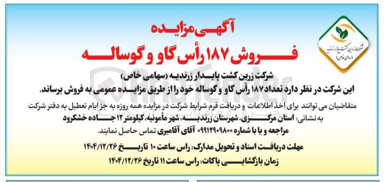 تصویر کوچک آگهی فروش ۱۸۷ رأس گاو و گوساله