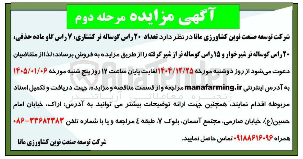 تصویر کوچک آگهی فروش تعداد ۲۰ راس گوساله نر کشتاری ۷ راس گاو ماده حذفی ۲۰ راس گوساله نر شیر خوار و ۱۵ راس گوساله نر از شیر 