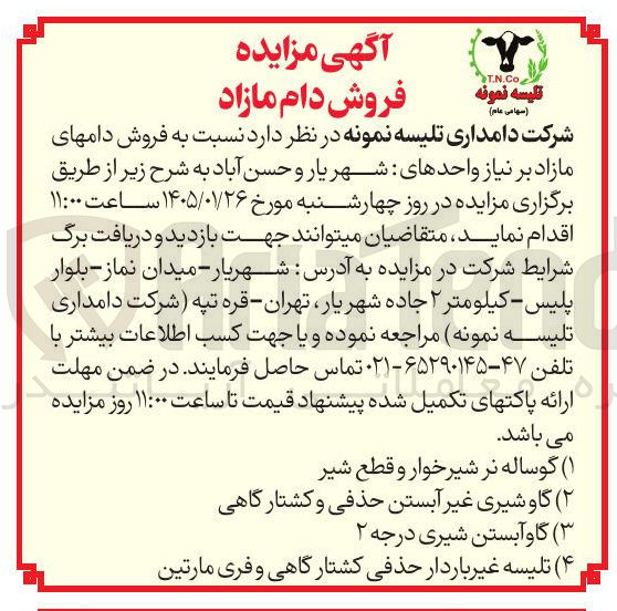 تصویر کوچک آگهی فروش دامهای مازاد در 4 ردیف شامل: ۱) گوساله نر شیر خوار و قطع شیر (۲) گاو شیری غیر آبستن حذفی و کشتارگاهی (۳) گاو آبستن شیری درجه ۲ (۴) تلیسه غیر باردار حذفی کشتارگاهی و فری مارتین