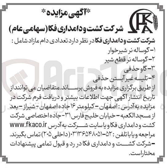 تصویر کوچک آگهی فروش دام مازاد در 4 ردیف : - گوساله نر شیرخوار ۲- گوساله نر قطع شیر - گاو حذفی - تلیسه غیر آبستن حذفی 