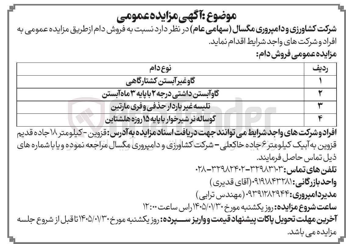 تصویر کوچک آگهی فروش دام مازاد در 4 ردیف :گاو غیر آبستن کشتارگاهی گاو آبستن داشتی درجه ۲ با پایه ۳ ماه آبستن تلیسه غیر باردار حذفی و فری مارتین گوساله نر شیر خوار با پایه ۱۵ روزه هلشتاین