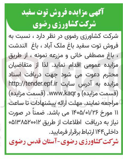 تصویر کوچک آگهی فروش توت سفید باغ ملک آباد ، باغ الندشت ، باغ مصطفی خانی و مزرعه نمونه ،
