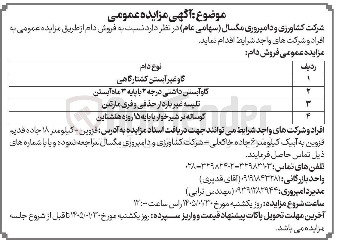 تصویر کوچک آگهی فروش دام در 4 دریف:گاو غیر آبستن کشتارگاهی گاو آبستن داشتی درجه ۲ با پایه ۳ ماه آبستن تلیسه غیر باردار حذفی و فری مارتین گوساله نر شیر خوار 