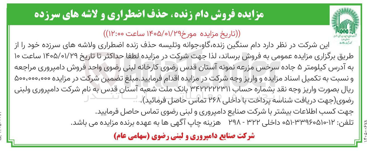تصویر کوچک آگهی فروش دام سنگین زنده گاو جوانه و تلیسه حذف زنده اضطراری ولاشه های سرزده