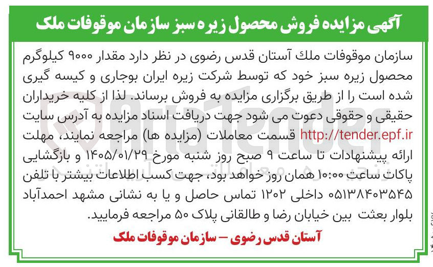 تصویر کوچک آگهی فروش مقدار ۹۰۰۰ کیلوگرم محصول زیره سبز