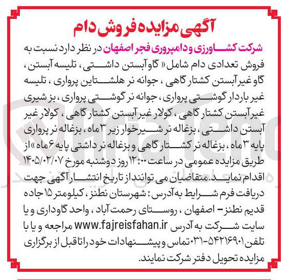 تصویر کوچک آگهی فروش تعدادی دام شامل گاو آبستن داشتی، تلیسه آبستن گاو غیر آبستن کشتارگاهی ، جوانه نر هلشتاین پرواری ، تلیسه غیر باردار گوشتی پرواری جوانه نر گوشتی پرواری ، بز شیری غیر آبستن کشتارگاهی ، کولار غیر آبستن کشتارگاهی ، کولار غیر آبستن داشتی بزغاله نر شیر خوار زیر ۳ ماه بزغاله نر پرواری پایه ۳ ماه بزغاله نر کشتارگاهی و بزغاله نرداشتی