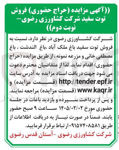 تصویر کوچک آگهی  فروش توت سفید باغ ملک آباد باغ الندشت ، باغ مصطفی خانی و مزرعه 