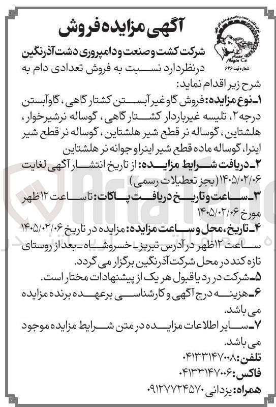 تصویر کوچک آگهی فروش گاو غیر آبستن کشتارگاهی ، گاو آبستن درجه ۲ تلیسه غیر باردار کشتارگاهی گوساله نرشیر خوار هلشتاین گوساله نر قطع شیر هلشتاین گوساله نر قطع شیر اینرا گوساله ماده قطع شیر اینرا و جوانه نر هلشتاین 