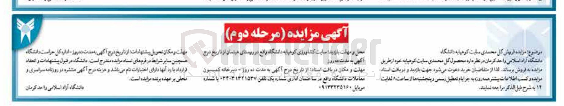 تصویر کوچک آگهی فروش گل محمدی