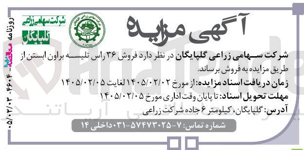 تصویر کوچک آگهی فروش ۳۶ راس تلیسه براون ابستن 