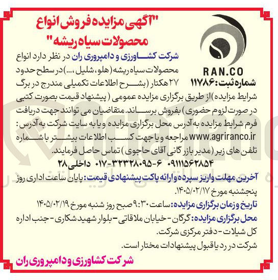 تصویر کوچک آگهی فروش انواع محصولات سیاه ریشه 