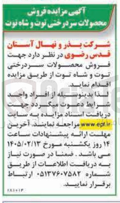 تصویر کوچک آگهی فروش محصولات سر درختی توت و شاه توت