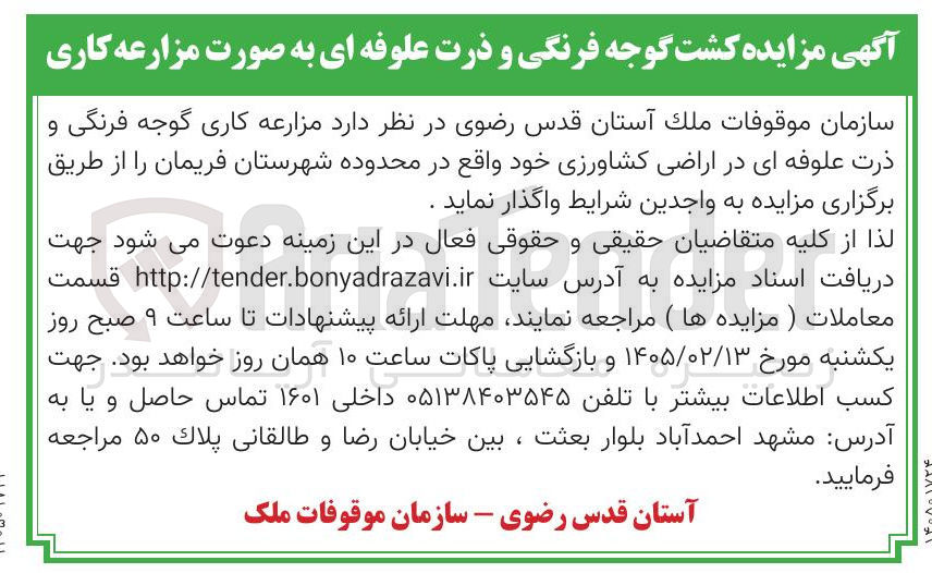 تصویر کوچک آگهی واگذاری مزارعه کاری گوجه فرنگی و ذرت علوفه ای در اراضی کشاورزی