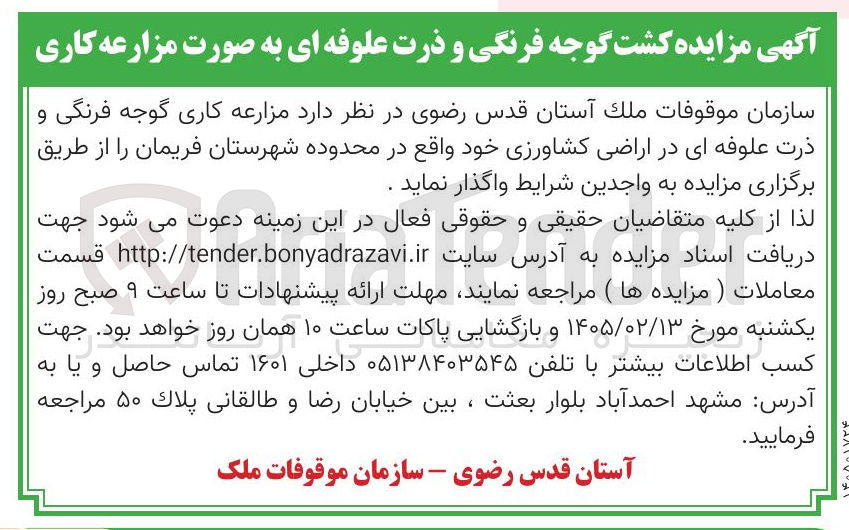 تصویر کوچک آگهی واگذاری مزارعه کاری گوجه فرنگی 9 ذرت علوفه ای در اراضی کشاورزی