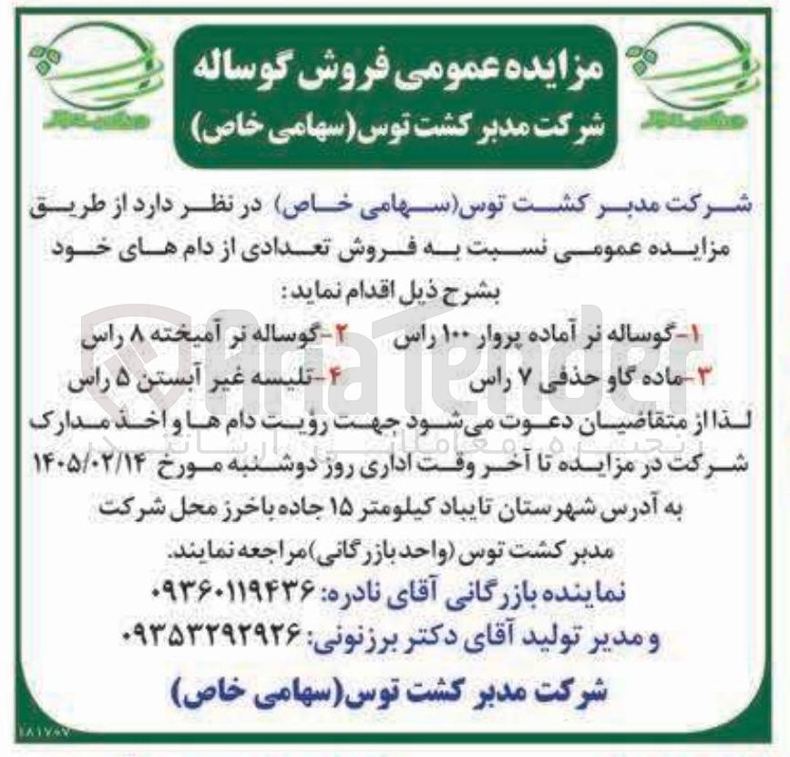 تصویر کوچک آگهی فروش گوساله