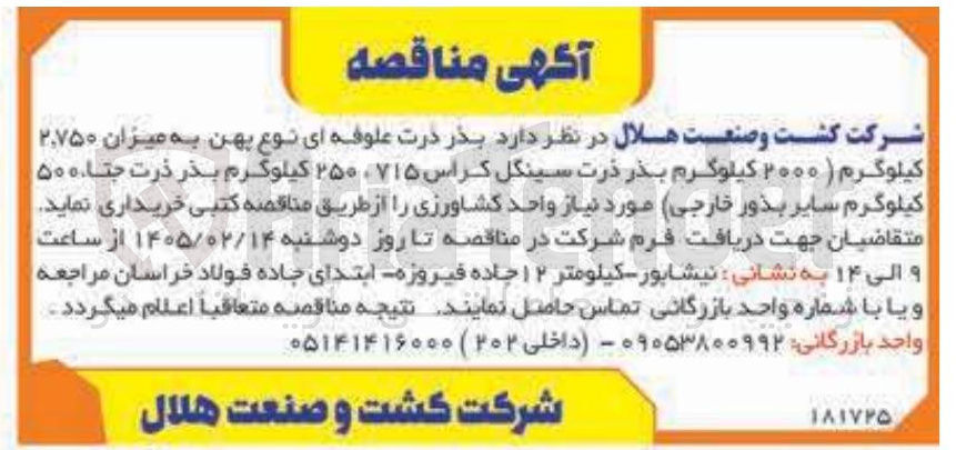 تصویر کوچک آگهی خرید بذر ذرت علوفه ای نوع پهن 