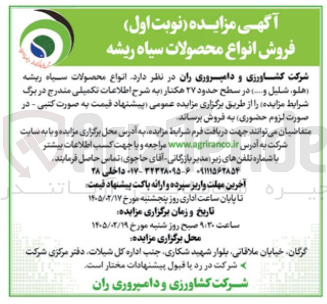 تصویر کوچک آگهی فروش انواع محصولات سیاه ریشه