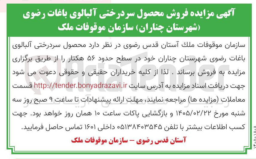 تصویر کوچک آگهی فروش محصول سردرختی آلبالوی باغات