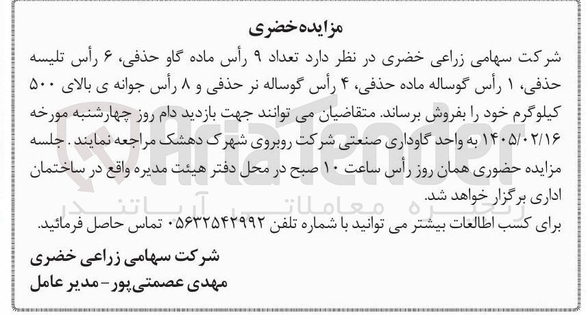 تصویر کوچک آگهی فروش تعداد ۹ رأس ماده گاو حذفی، ۶ رأس تلیسه حذفی، ۱ رأس گوساله ماده حذفی، ۴ رأس گوساله نر حذفی و ۸ رأس جوانه ی بالای ۵۰۰ کیلوگرم