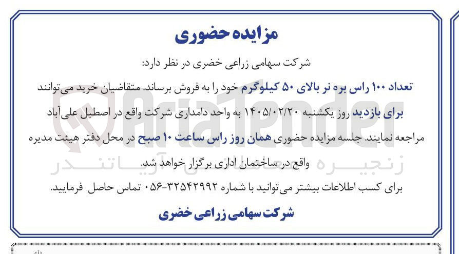 تصویر کوچک آگهی فروش تعداد ۱۰۰ راس بره نر بالای ۵۰ کیلوگرم
