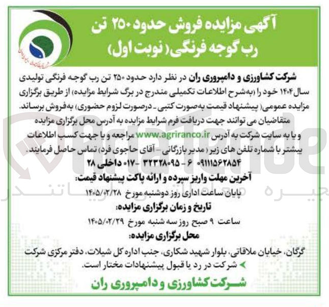 تصویر کوچک آگهی فروش حدود ۲۵۰ تن رب گوجه فرنگی 