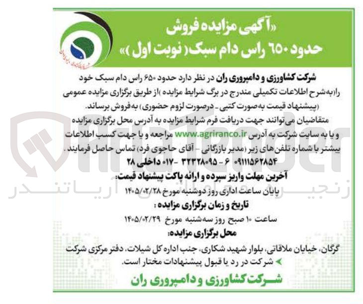 تصویر کوچک آگهی فروش حدود ۶۵۰ راس دام سبک