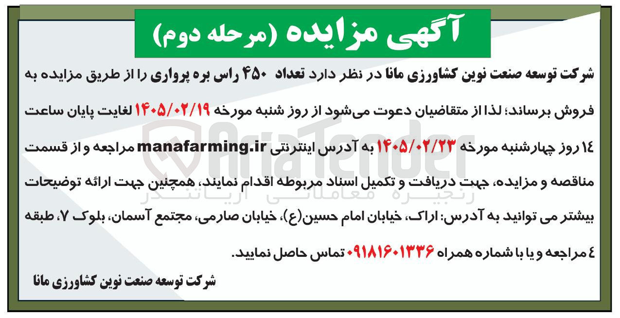 تصویر کوچک آگهی فروش تعداد ۴۵۰ راس بره پرواری