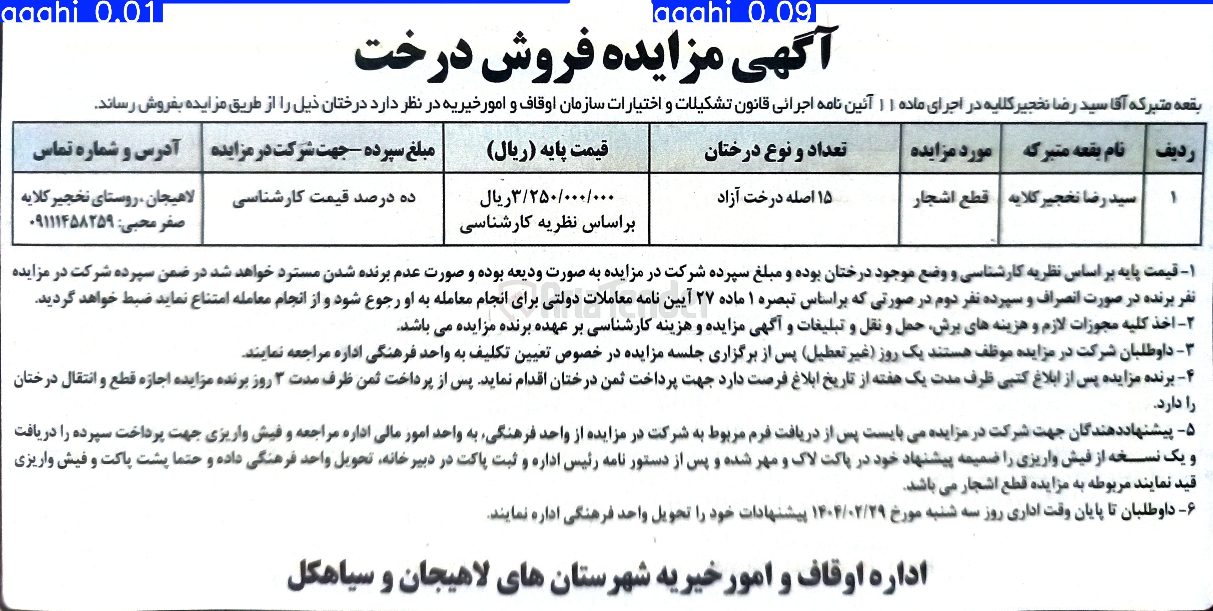 تصویر کوچک آگهی فروش 15 اصله درخت آزاد