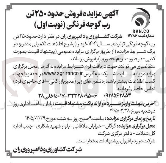 تصویر کوچک آگهی فروش حدود ۲۵۰ تن رب گوجه فرنگی تولیدی