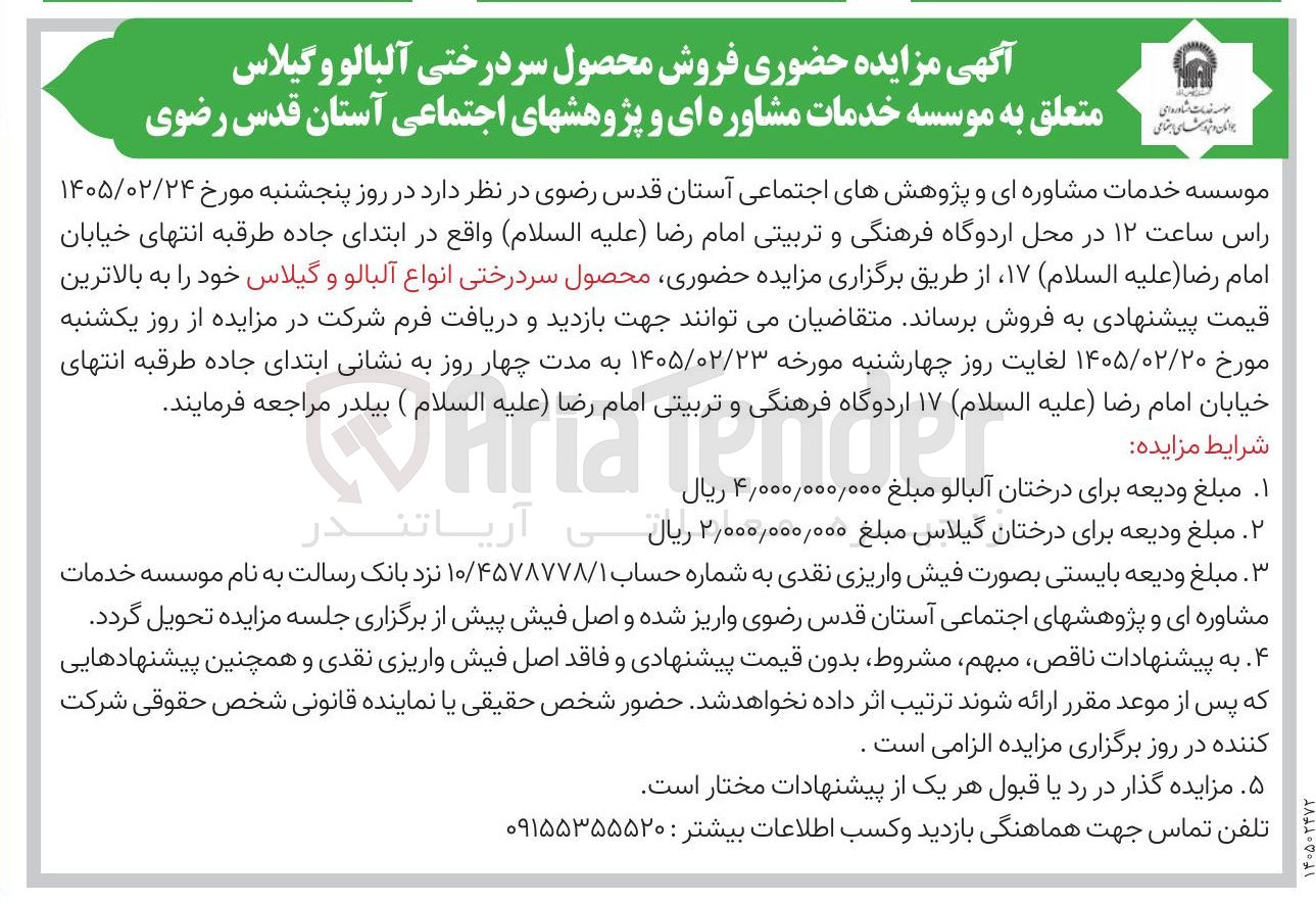 تصویر کوچک آگهی فروش محصول سردرختی آلبالو و گیلاس 