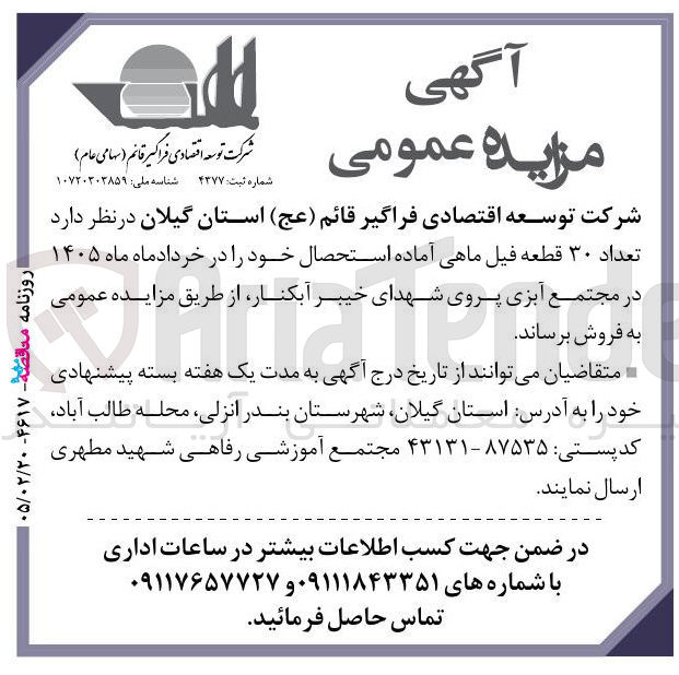 تصویر کوچک آگهی فروش تعداد ۳۰ قطعه فیل ماهی آماده استحصال 