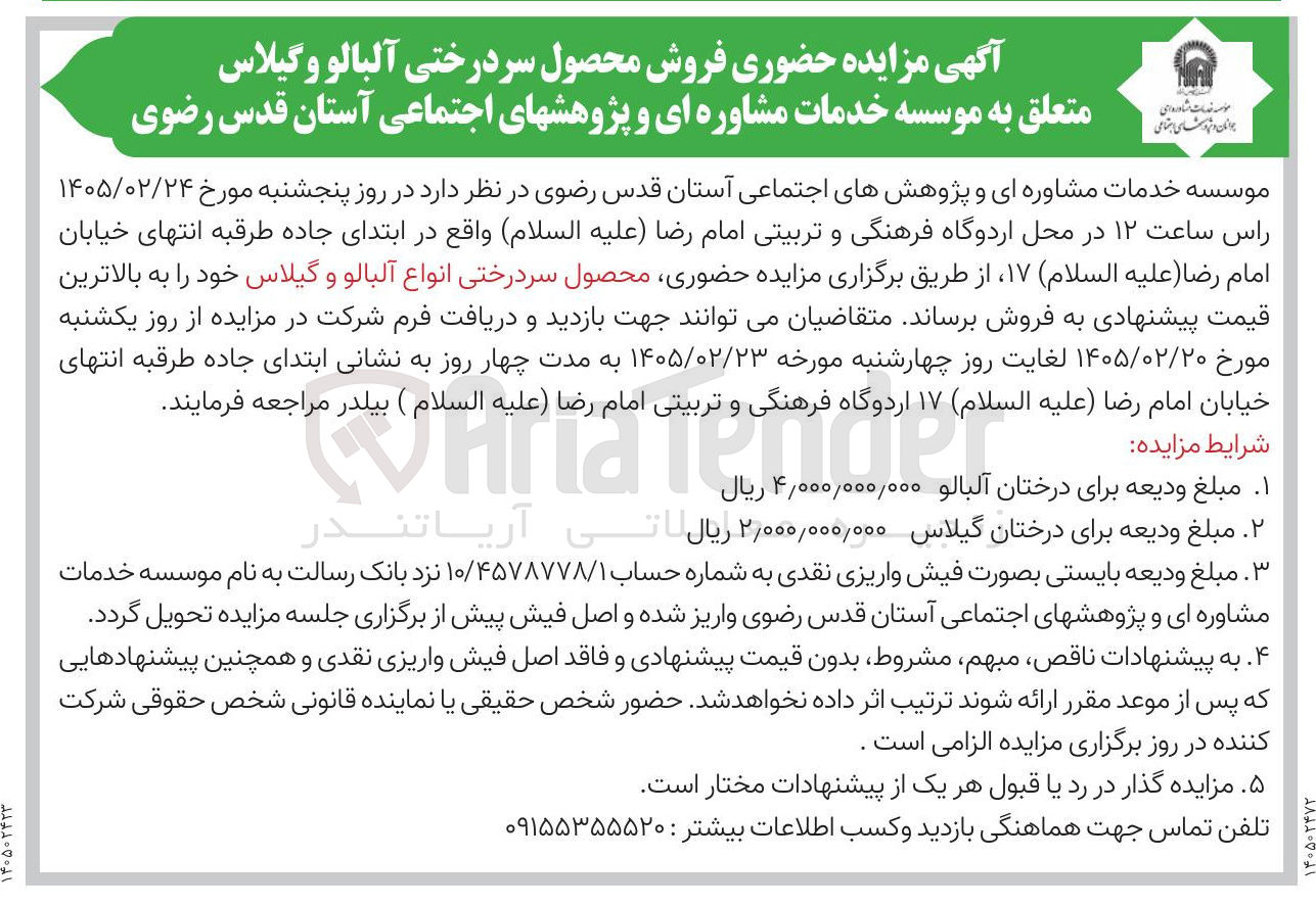 تصویر کوچک آگهی فروش محصول سر درختی آلبالو و گیلاس
