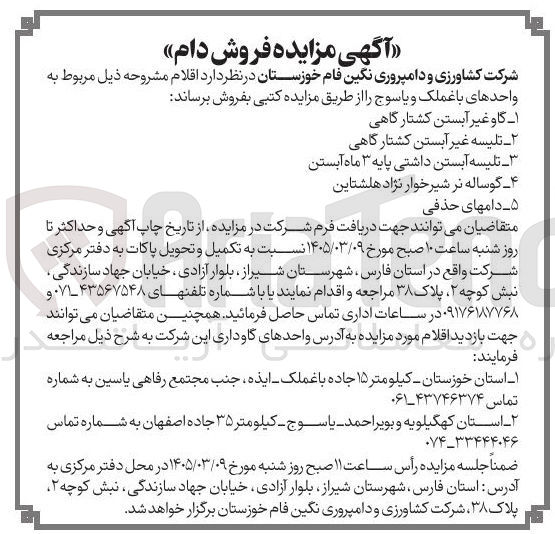 تصویر کوچک آگهی فروش دام