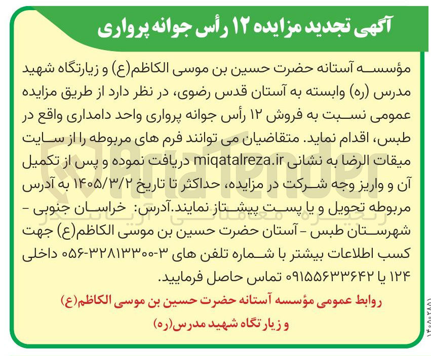 تصویر کوچک آگهی فروش ۱۲ رأس جوانه پرواری واحد دامداری