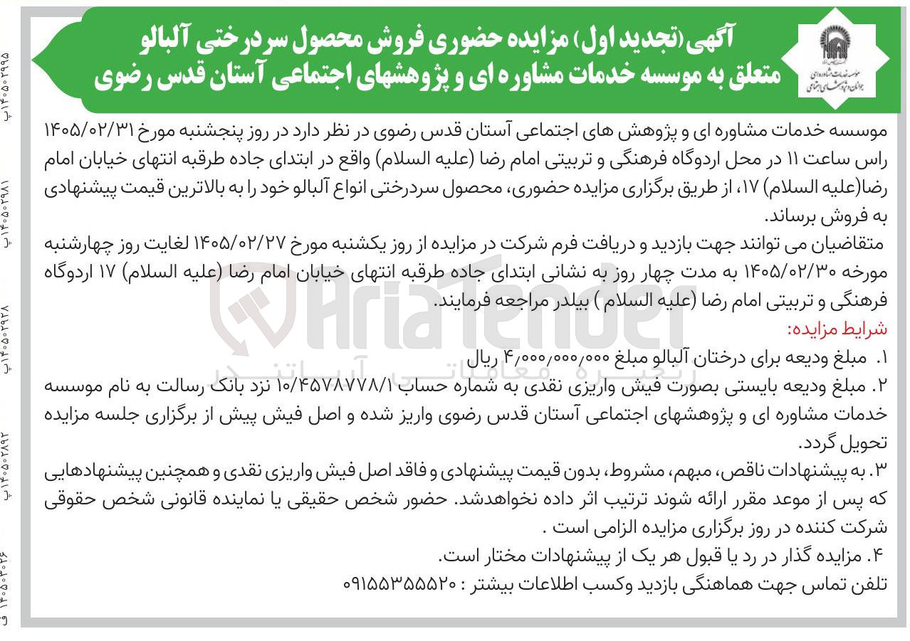 تصویر کوچک آگهی فروش محصول سردرختی آلبالو