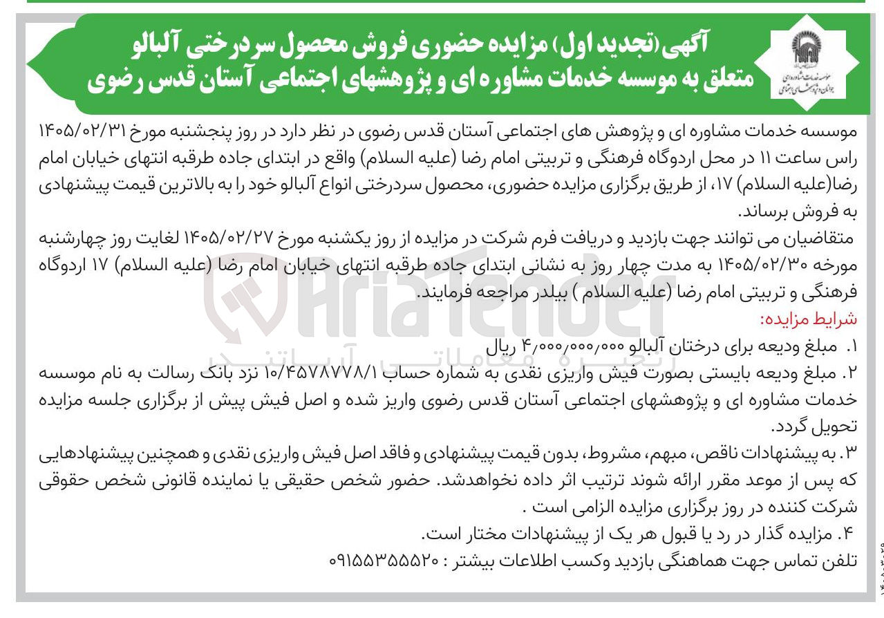 تصویر کوچک آگهی فروش محصول سردرختی آلبالو 