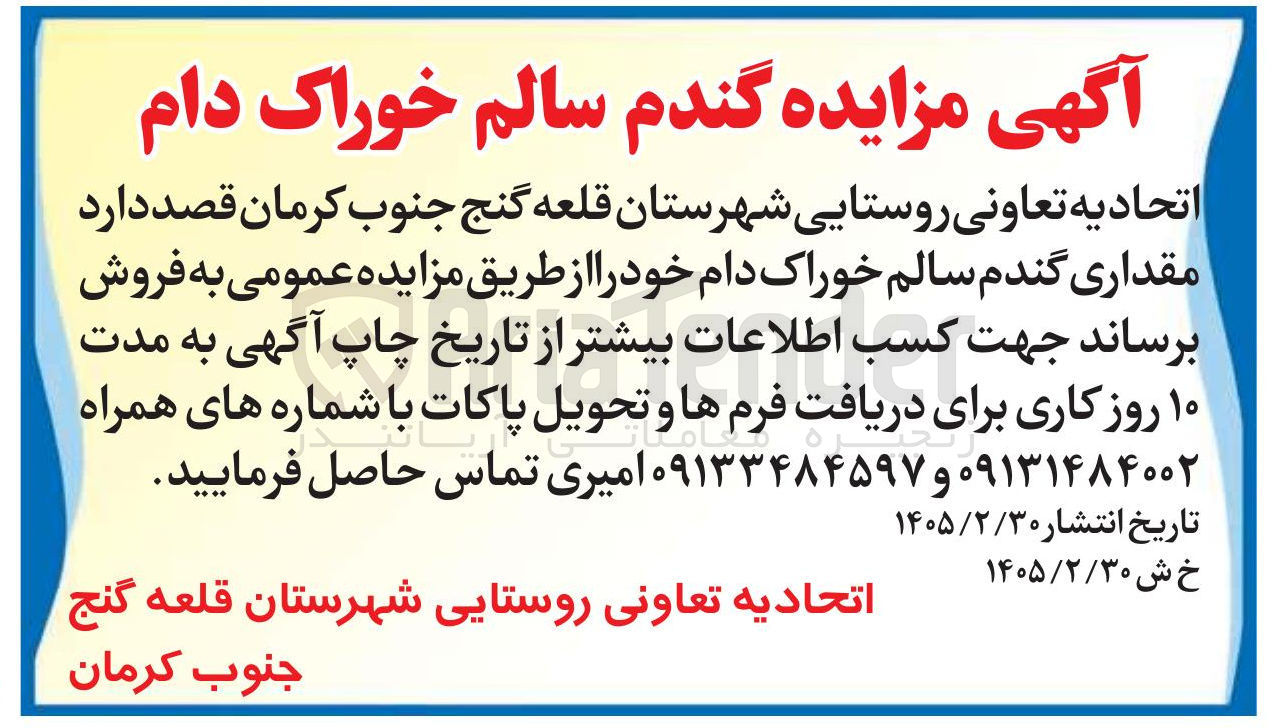 تصویر کوچک آگهی فروش مقداری گندم سالم خوراک دام