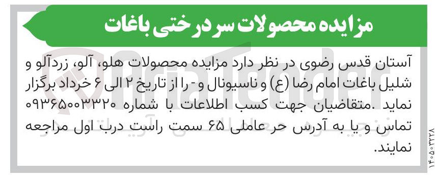 تصویر کوچک آگهی فروش محصولات هلو آلو زردآلو و شلیل