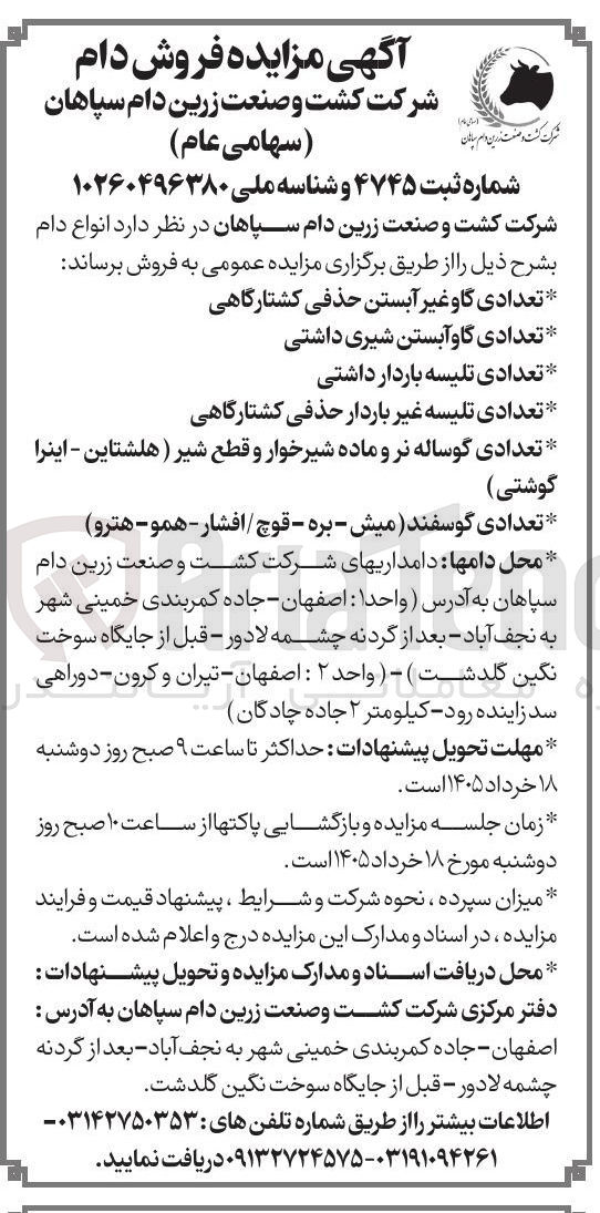 تصویر کوچک آگهی فروش انواع دام شالم گاو غرآبستن، گاو آبستن، تلیسه باردار، تلیه غیرباردار، گوساله نر و ماده، گوسفند