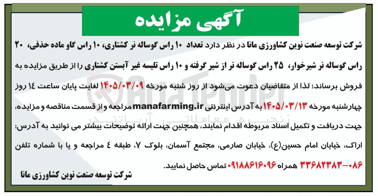 تصویر کوچک آگهی فروش گوساله نر کشتاری، گاو ماده حذفی گوساله نر شیرخوار، گوساله نر از شیرگرفته و تلیسه غیر آبستن کشتاری