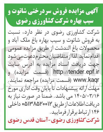 تصویر کوچک آگهی فروش سردرختی شاتوت و سیب بهاره