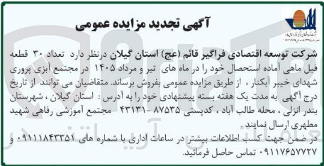 تصویر کوچک آگهی فروش تعداد ۳۰ قطعه فیل ماهی آماده استحصال