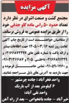 تصویر کوچک آگهی فروش حدود ۵۰ راس ماده گاو حذفی