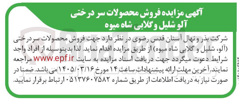 تصویر کوچک آگهی فروش محصولات سر درختی آلو شلیل و گلابی شاه میوه